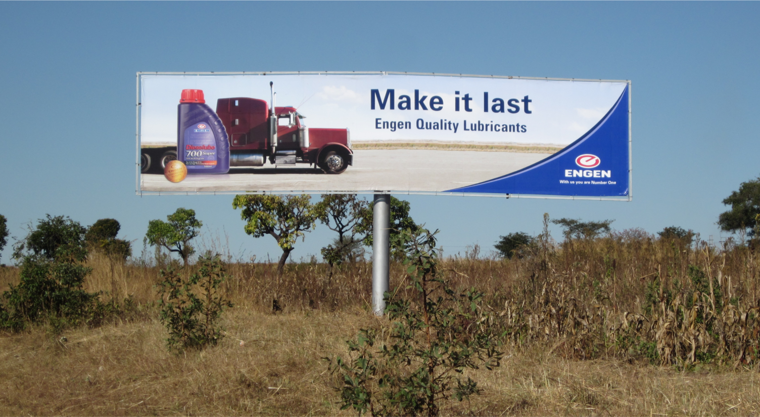 Engine Zimbabwe